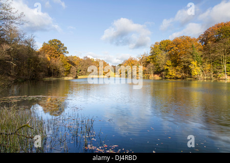 Herbst Reflexionen an Cannop Seen in Wald des Dekans, Gloucestershire, England, Großbritannien Stockfoto