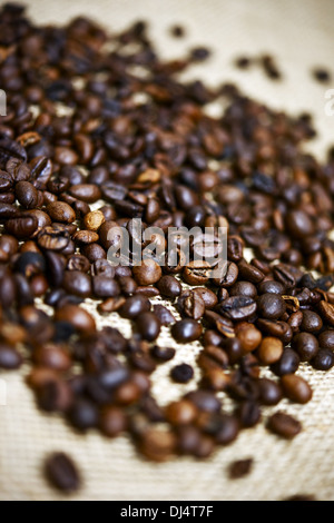 Brauen Sie bereit Kaffeebohnen. Frische Bio Kaffeebohnen - vertikale Nahaufnahme Foto Stockfoto