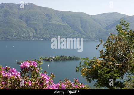 Brissago Inseln, Lago Maggiore, Schweiz Stockfoto