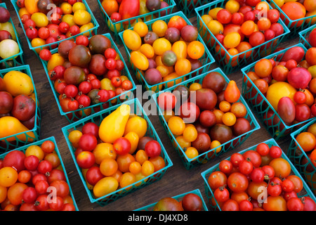 Tomaten im Karton Stockfoto