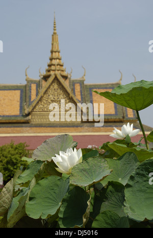 Lotus im Königspalast in Phnom Penh Stockfoto