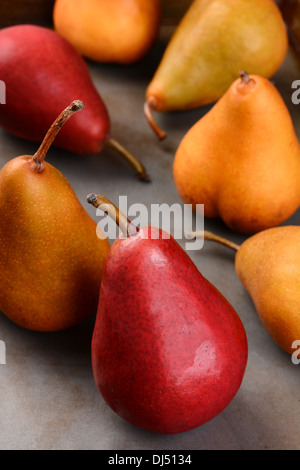 Nahaufnahme von Bosc und rote Birnen, geringe Schärfentiefe mit Fokus auf das Vorderteil der Frucht. Stockfoto