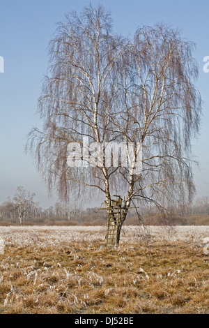 Sitzen Spiel im Moor, Bavariy, Deutschland Stockfoto