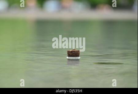 Serpentine Gallery Summer Pavilion - Presse-Preview. Architektonische Jahresausstellung mit einer Gründung durch Herzog & de Meuron und Ai Weiwei. London, England - 31.05.12 Stockfoto