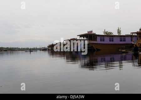 Hausboote und ihre Reflexion im Wasser der Dal-See in Srinagar, Kaschmir mit Mann entfernen Unkraut vor Hausboote Stockfoto