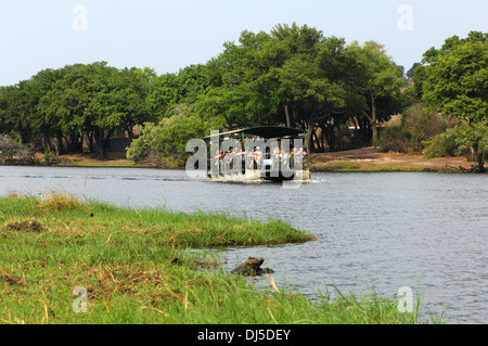 Touristenboot auf dem Chobe Fluss, Botswana Stockfoto