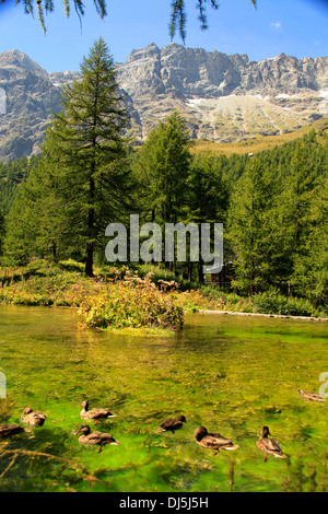 Cervino Matterhorn Gipfel, Breuil-Cervinia, Italien Stockfoto