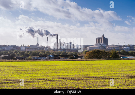 Die Verarbeitung von Zuckerrüben Fabrik in Bury St Edmunds in Suffolk, England, Großbritannien, Vereinigtes Königreich Stockfoto