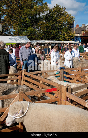 Die Bauern und ihre Schafe in Ständen auf der jährlich stattfindenden Masham Village Sheep Fair North Yorkshire Dales England Vereinigtes Königreich Großbritannien Großbritannien Großbritannien Großbritannien Großbritannien Großbritannien Stockfoto