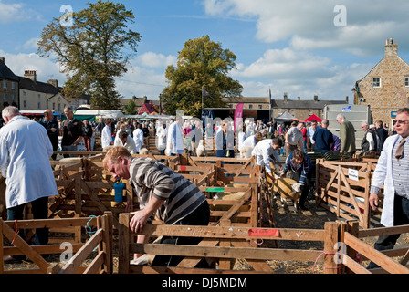 Farmer und Schafe in Ständen auf der Masham Village Sheep Fair North Yorkshire England Großbritannien Großbritannien Großbritannien Großbritannien Großbritannien Großbritannien Großbritannien Stockfoto