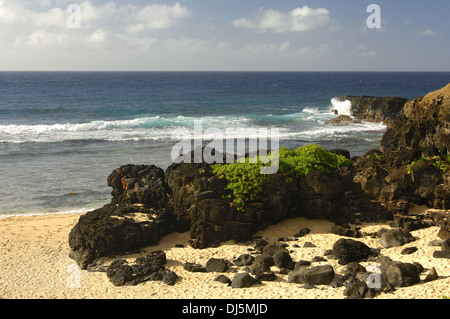 Gris Kap, Mauritius Stockfoto