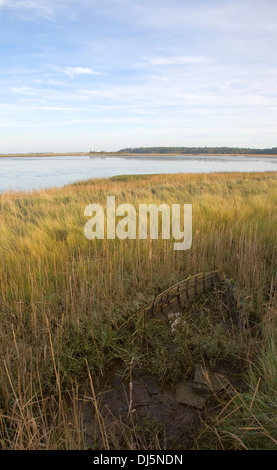 Walberswick National Nature reserve Feuchtgebiet Umwelt Sümpfe Blythburgh, Suffolk, England Stockfoto