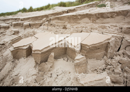 Dünen an der Spitze des Strandes an der Northumberland Küste nach unterboten durch einen Sturm und Flut zusammenbricht. Stockfoto