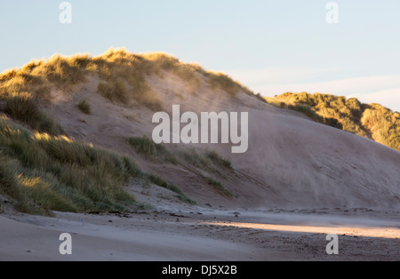 Sand in einen Sandsturm weht bei windigem Wetter auf Sanddünen am Alnmouth, Northumberland, UK. Stockfoto