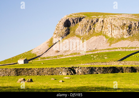 Robin aufsichtführenden Narbe, einem Kalksteinfelsen zwischen Clapham und Austwick in den Yorkshire Dales, UK. Stockfoto