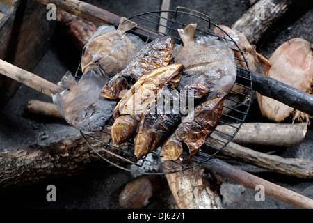 Tropische gegrillte Fische in einer kleinen Insel durch Guna Eingeborenen als Kuna in der "Comarca" (Region) der Guna Yala im Archipel von San Blas Blas Inseln im Nordosten von Panama mit Blick auf das Karibische Meer bekannt gegeben. Stockfoto