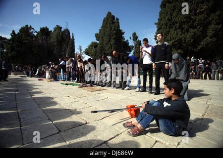 Jerusalem, Israel. 22. November 2013. Palestinian Territory Freitagsgebete an der Al-Aqsa Moschee in Jerusalem, am 22. November, 2013.Photo: Saeed Qaq/NurPhoto © Saeed Qaq/NurPhoto/ZUMAPRESS.com/Alamy Live News Stockfoto