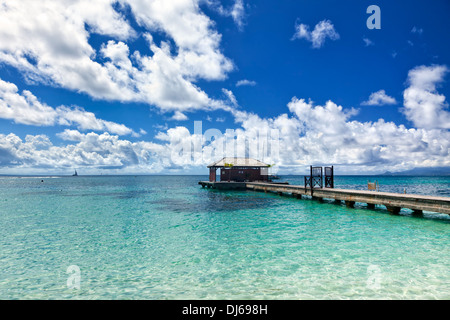 Steg am tropischen Strand, Guadeloupe Stockfoto