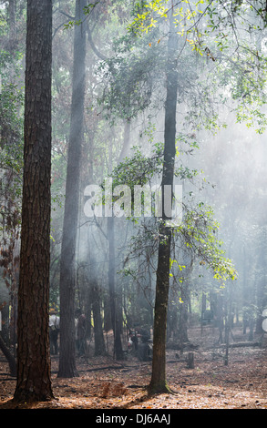 US-Soldaten Neuerstellung der 2. Seminolenkrieg während Native American Festival im Oleno State Park in North Florida. Stockfoto