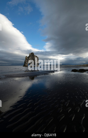 Hvítserkur, Felsformation im Hunafjordur Fjord, North Island Stockfoto