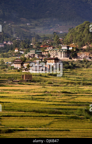 Bhutan, Punakha, Lobesa Dorf, Häuser unter den terrassierten Reisfelder Stockfoto