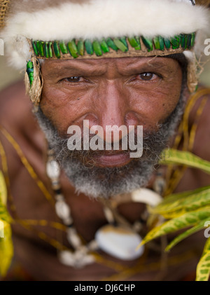 Goroka Provinz Singsing Gruppenmitglied mit traditionellen Käfer und Fell Kopfschmuck, Goroka Show, Papua-Neu-Guinea Stockfoto