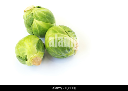 Grüne Rosenkohl auf weißem Hintergrund. Stockfoto