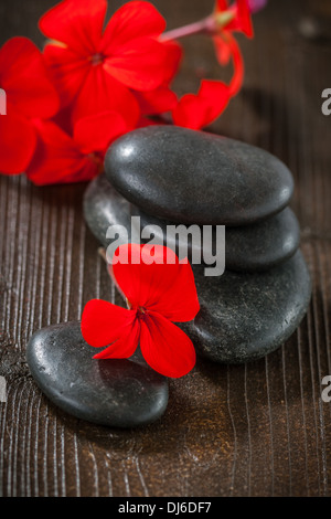 Spa-Steinen und roten Blumen Stockfoto