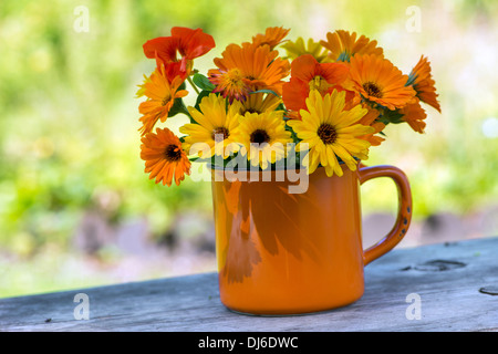 Ringelblumen und Kapuzinerkresse in eine alte Tasse auf einem Tisch Stockfoto
