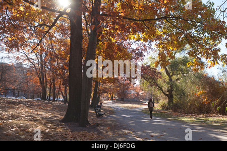 Eine Frau geht durch einen sonnendurchfluteten Park in Boston. Stockfoto