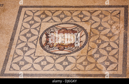 Detail aus einem Keramikboden Mosaik: Snake Boy. Ein Bild von einem Medusa mit mit Schlangen in seinem Haar Feature in Bodenmosaik. Stockfoto