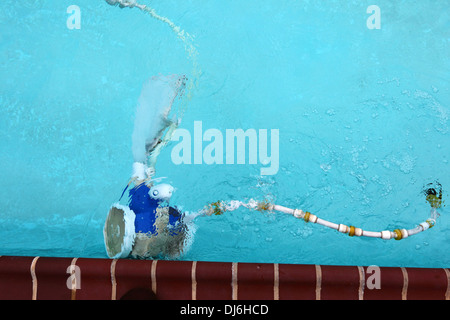 Polaris Vac-Sweep Hochdruckreiniger Klettern auf der Seite eines Schwimmbades Stockfoto