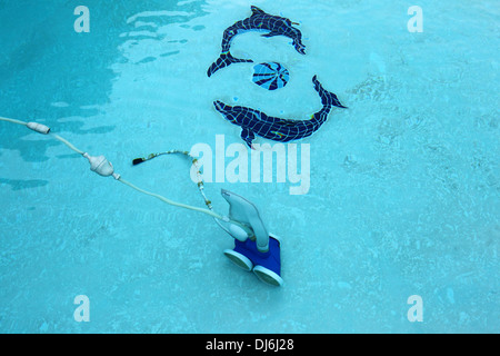 Polaris Vac-Sweep Druckreiniger für den Einsatz in einem Schwimmbad mit Delfindesign auf der Unterseite Stockfoto