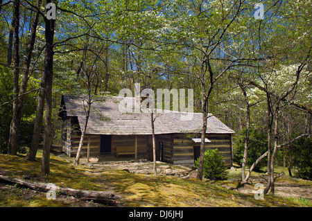 Smoky Mountains wandern Club-Kabine auf die Porter Creek Trail im Nationalpark Great Smoky Mountains in Tennessee Stockfoto