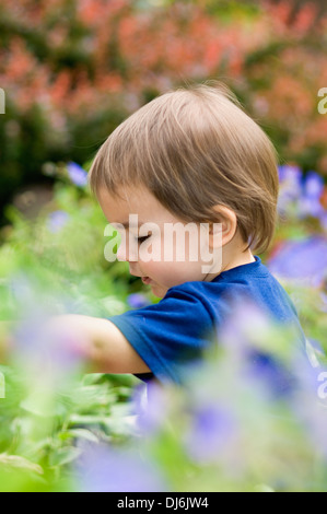Nahaufnahme eines zwei Jahre alten Jungen spielen im Garten Stockfoto