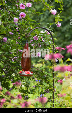 Hummingbird Feeder im Garten Stockfoto