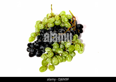 Cluster von dunkel blaue Trauben, Trauben von weißen Trauben, Stillleben, гроздь синего винограда, гроздья белого винограда натюрморт Stockfoto