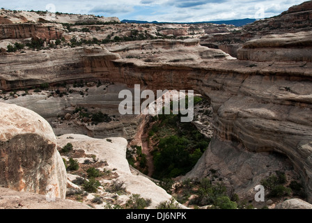 Sipapu Brücke Natural Bridges National Monument Utah USA Stockfoto