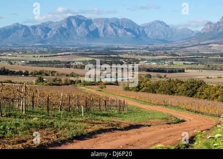 Südafrika, Paarl Gegend, in der Nähe von Kapstadt. Malerische Landschaft. Weinberg im Winter auf der linken Seite. Stockfoto