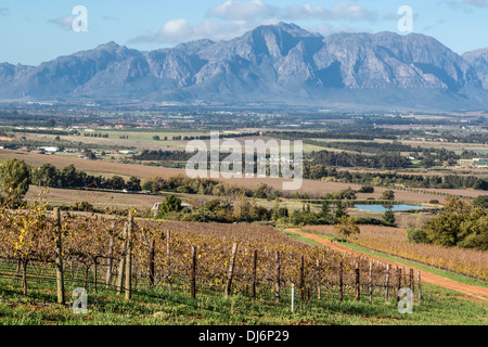 Südafrika, Paarl Gegend, in der Nähe von Kapstadt. Malerische Landschaft. Weinberg im Winter auf der linken Seite. Stockfoto