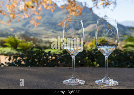 Südafrika. Weinprobe, Delaire Graff Estate Winery, in der Nähe von Stellenbosch. Fokus auf Vordergrund. Stockfoto