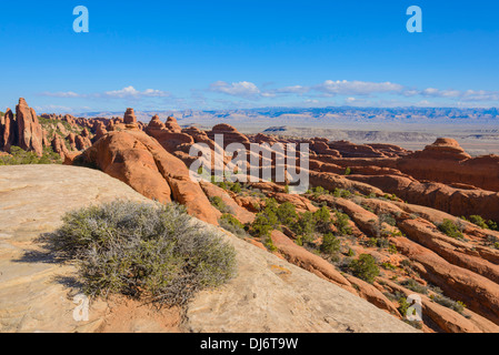 Flossen, Rock-Formationen, Devils Garden, Arches-Nationalpark, Utah, USA Stockfoto