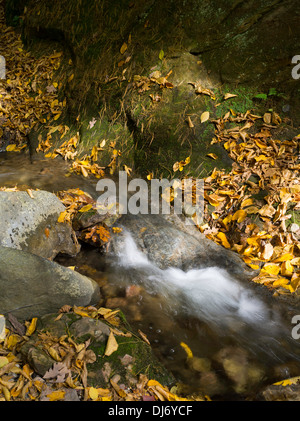 Farben des Herbstes sind lebendige Sackler Parfreys Glen State Natural Area, in der Nähe von Baraboo, Sauk County, Wisconsin. Stockfoto