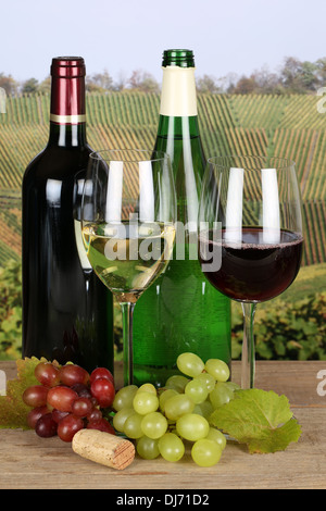 Rot- und Weißweine in Flaschen mit Trauben in den Weinbergen Stockfoto