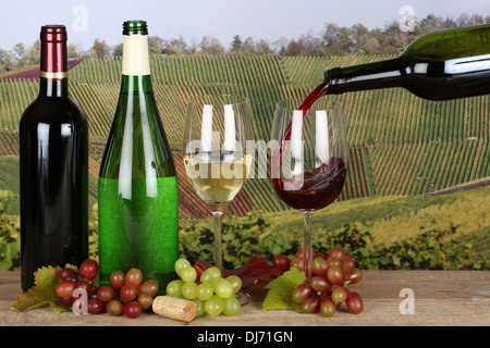 Rotwein aus der Flasche in ein Glas Wein in den Weinbergen gießen Stockfoto