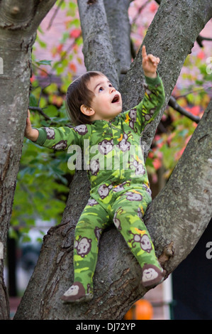 Kleinkind sitzen in Ahorn Stockfoto