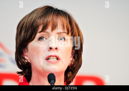 Belfast, Nordirland. 23. November 2013 - Diane Dodds MEP befasst sich der DUP Parrty Konferenz Credit: Stephen Barnes/Alamy Live News Stockfoto