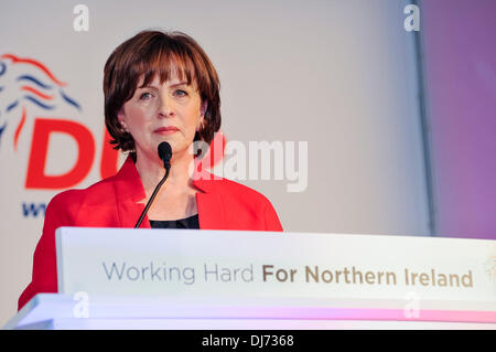 Belfast, Nordirland. 23. November 2013 - Diane Dodds MEP befasst sich der DUP Parrty Konferenz Credit: Stephen Barnes/Alamy Live News Stockfoto