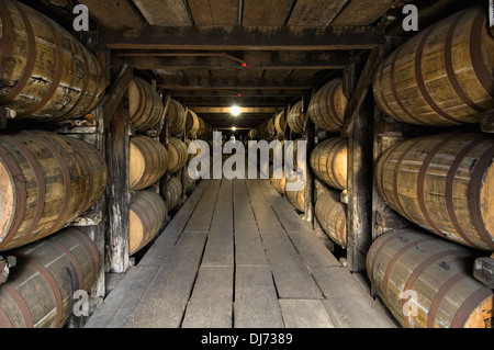 Barrel Bourbon Alterung in einem Rick Haus am Buffalo Trace Distillery in Frankfort, Kentucky Stockfoto