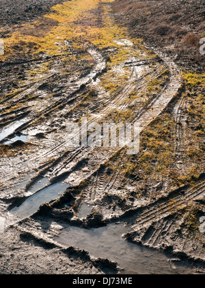 Fahrzeug-Reifenspuren im Schlamm am Straßenrand Patch - Frankreich. Stockfoto